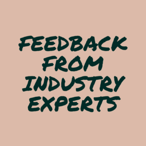 Feedback from Industry Experts