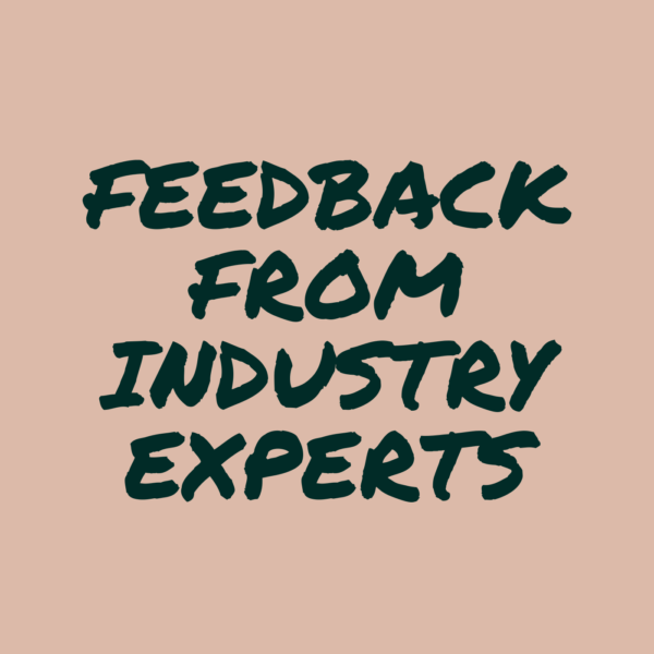 Feedback from Industry Experts